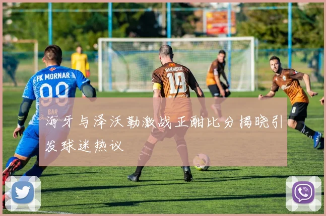 海牙与泽沃勒激战正酣比分揭晓引发球迷热议