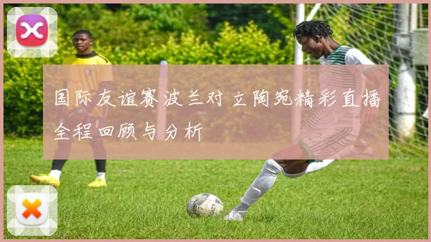 国际友谊赛波兰对立陶宛精彩直播全程回顾与分析
