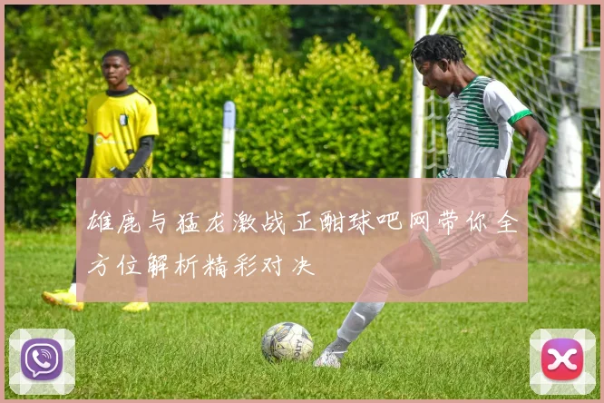 雄鹿与猛龙激战正酣球吧网带你全方位解析精彩对决