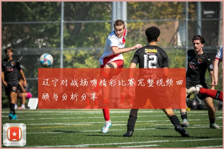 辽宁对战杨鸣精彩比赛完整视频回顾与分析分享